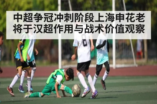 中超争冠冲刺阶段上海申花老将于汉超作用与战术价值观察